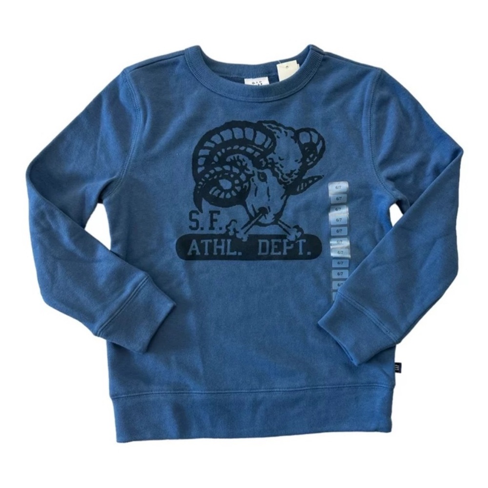 Gap Terry Lined Graphic Print Crewneck
Pullover Sweatshirt
